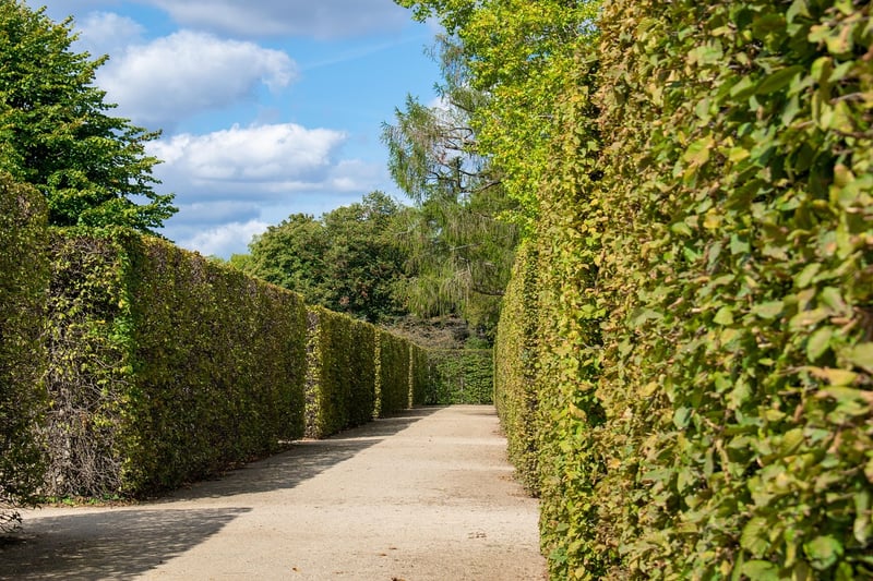 Temporal Mazes